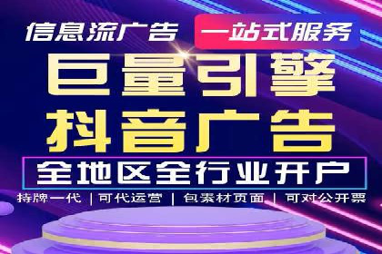 行业领先企业的SEM代理案例剖析